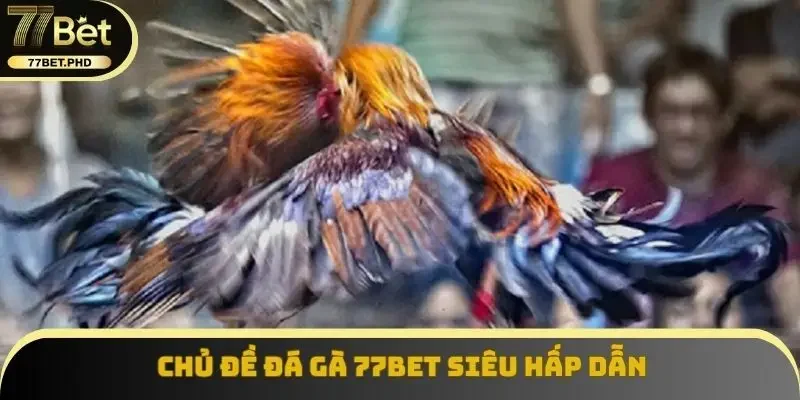 Chủ đề đá gà 77BET siêu hấp dẫn