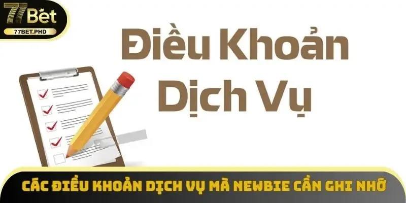 Điều khoản dịch vụ 77BET mà newbie cần biết