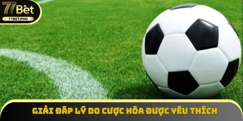 Giải đáp lý do cược hòa được yêu thích