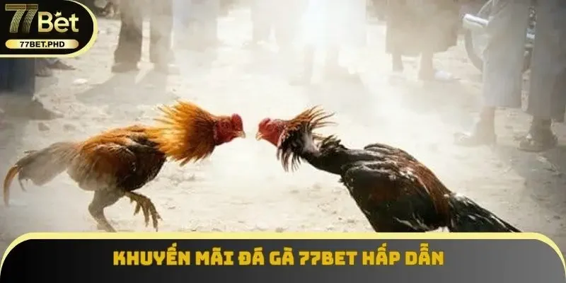 Khuyến mãi đá gà 77BET hấp dẫn